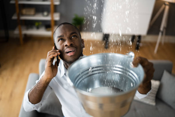Best Flooded house restoration  in Warner Robins, GA
