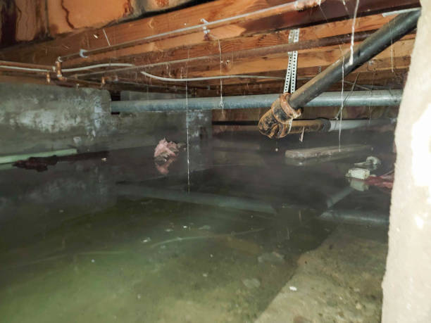  Warner Robins, GA Water damage restoration Pros