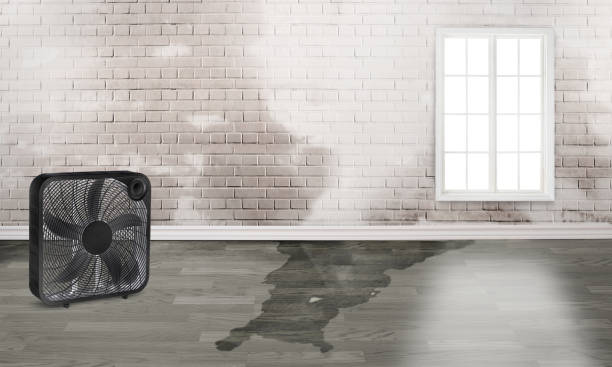 Best Professional water damage repair  in Warner Robins, GA