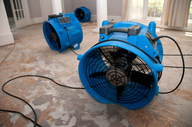 Reliable Warner Robins, GA Water damage restoration Solutions