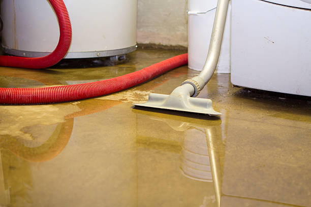 Best Flood damage cleanup  in Warner Robins, GA