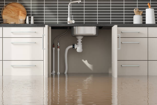 Best Basement water damage restoration  in Warner Robins, GA