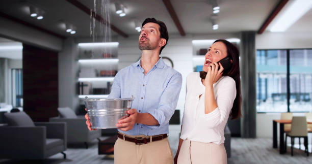 Best Ceiling water damage repair  in Warner Robins, GA