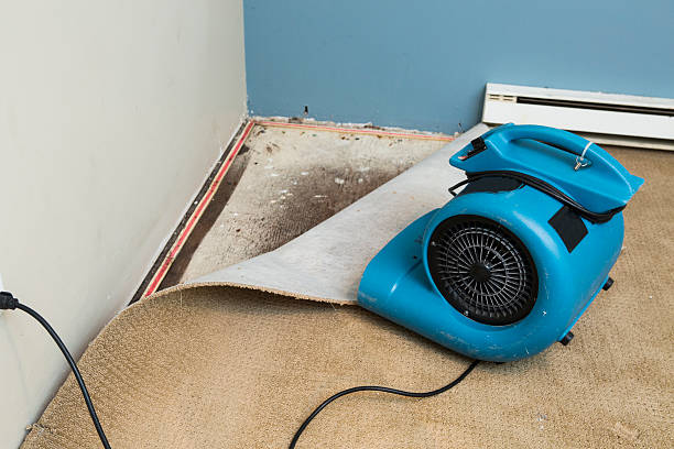 Water damage restoration insurance claims in Warner Robins, GA